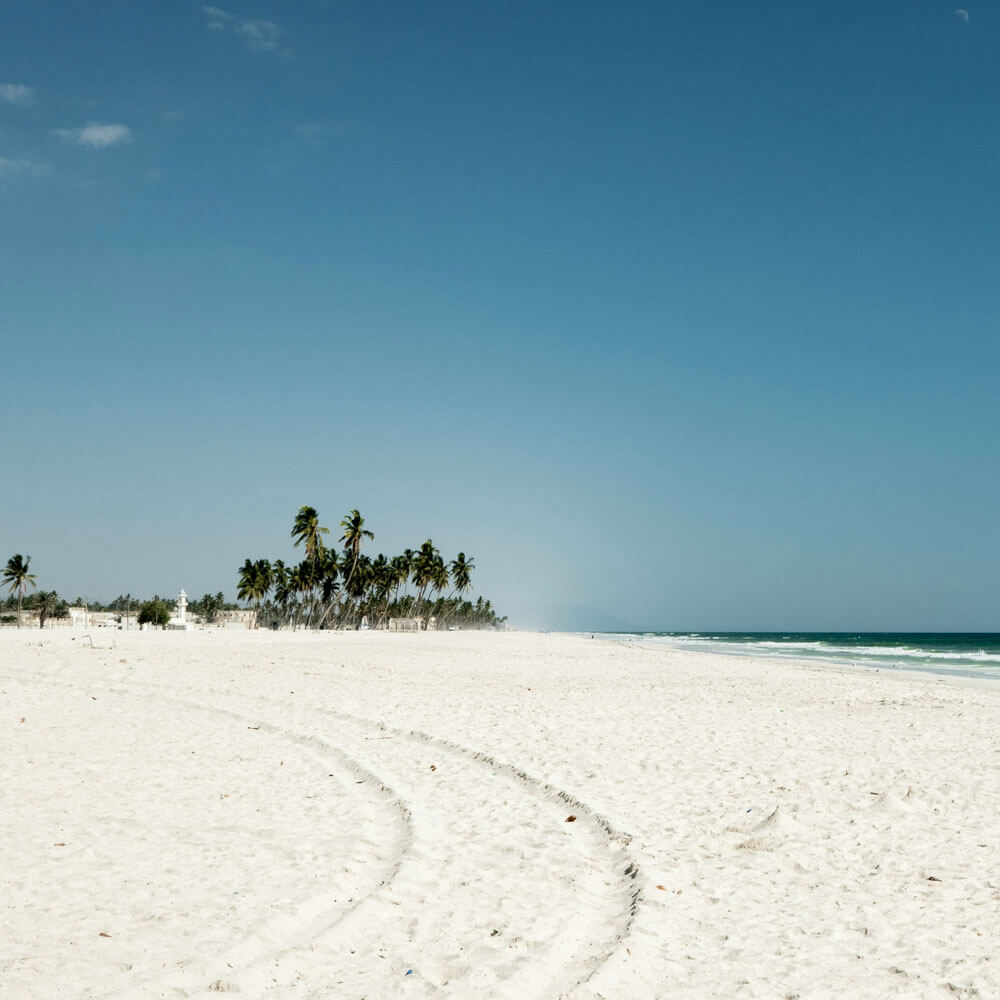Palmenstrand in Salalah mit türkisblauem Meer