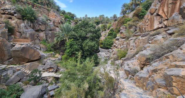 11. Blogbild agricultural walk