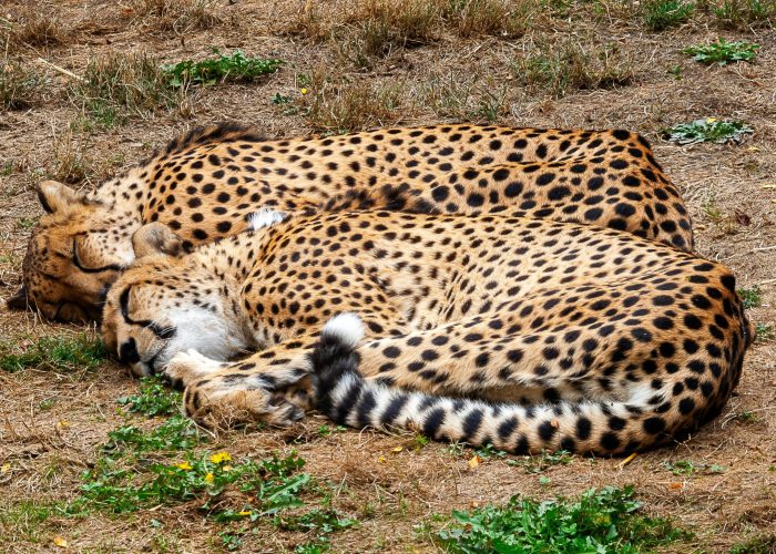 15. Blogbild pexels-dean-fugate-579564645-18160747